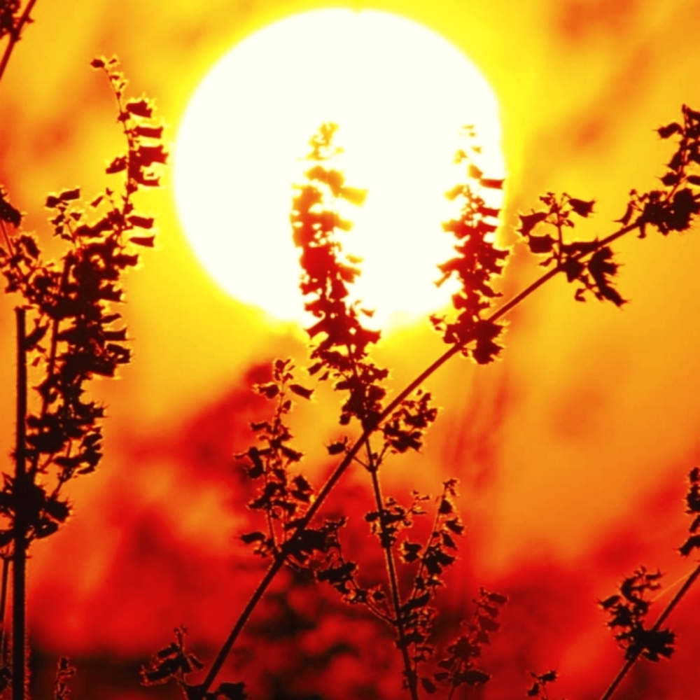 💥ULTRAHEAD2TOE IS LIVE!